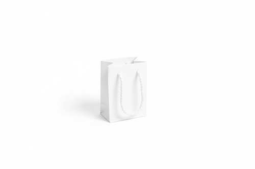 Buste Shopp. 7x10+5 PZ.12 | Naturale e Bianco