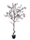 Pianta Magnolia In Vaso Con Neve cm.188