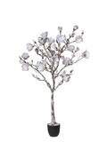 Pianta Magnolia In Vaso Con Neve cm.160