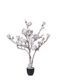 Pianta Magnolia In Vaso Con Neve cm.94