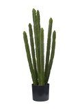 Pianta Cactus cm.90