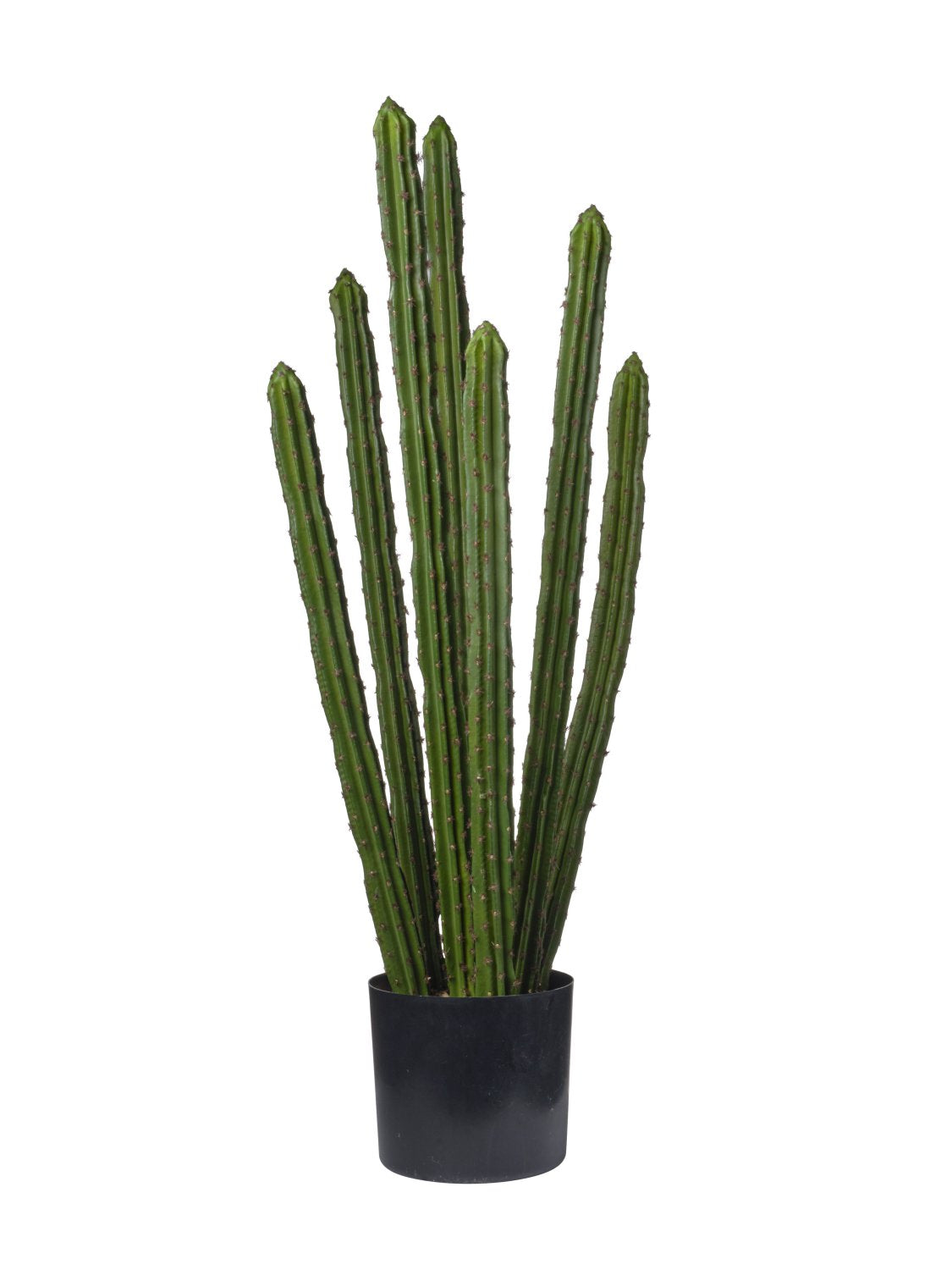 Pianta Cactus cm.90