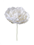 Pick Peonia cm.20 PZ.6
