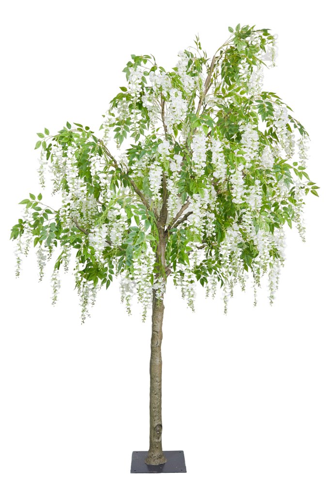 Albero Glicine cm.360