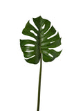 Foglia Monstera cm.101 PZ.2