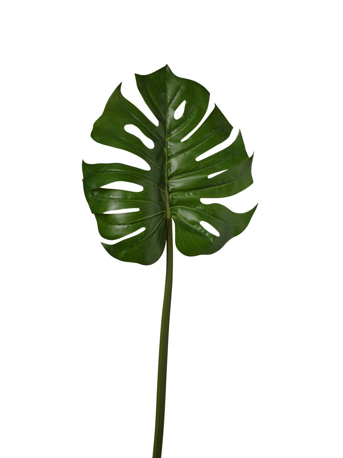 Foglia Monstera cm.101 PZ.2