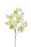 Ramo Cosmos X5 cm.78 PZ.3