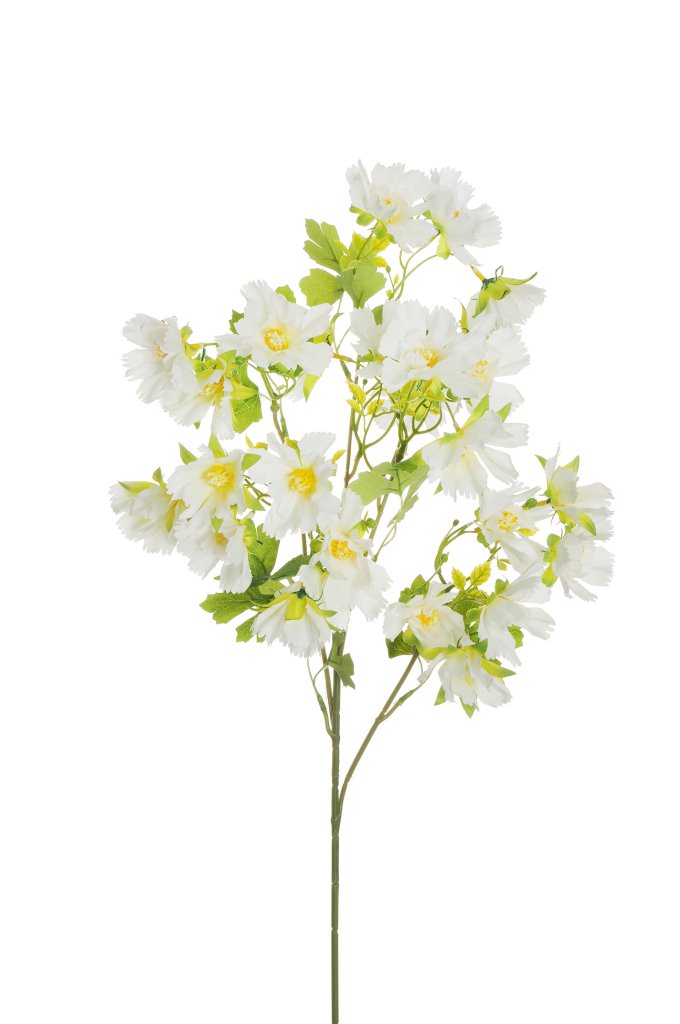 Ramo Cosmos X5 cm.78 PZ.3