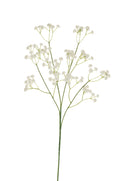 Gypsophila Spray X4 cm.64 PZ.6