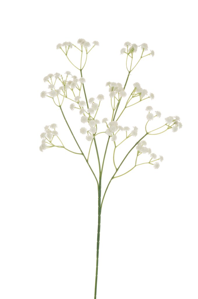Gypsophila Spray X4 cm.64 PZ.6