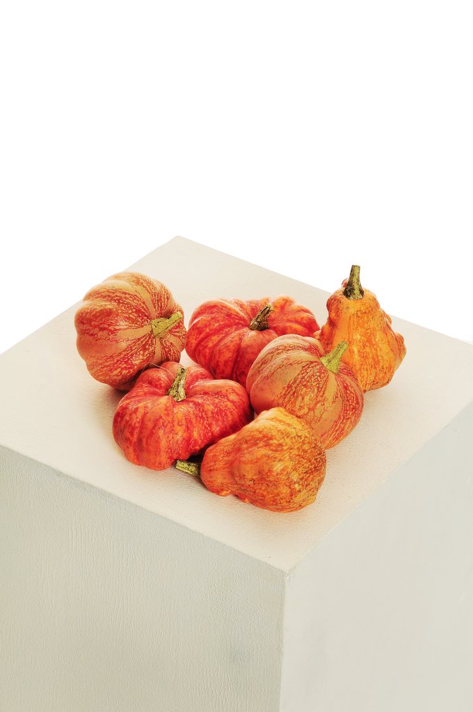 Zucche Assortite In Rete PZ.6