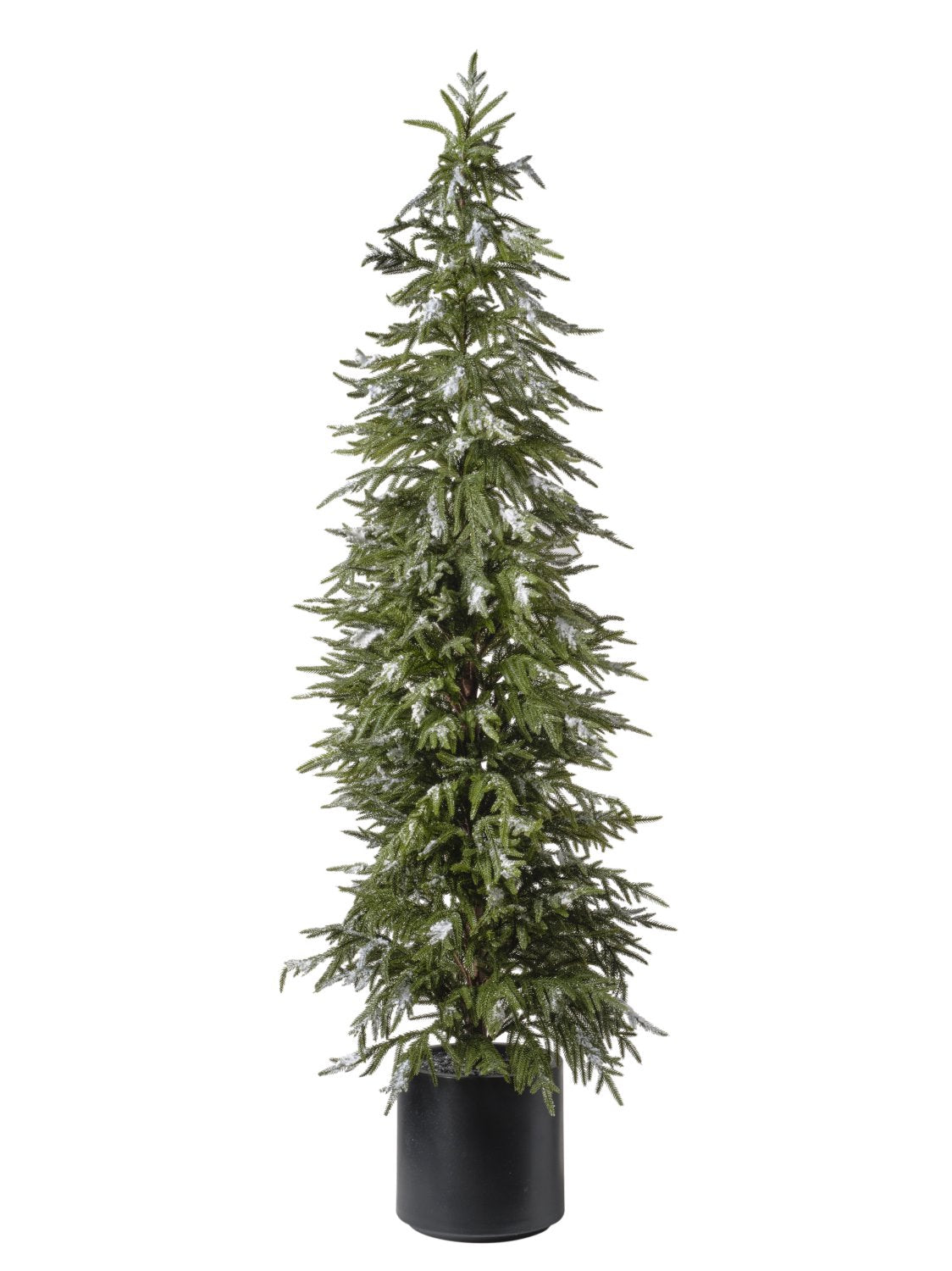 Albero Pino Con Neve cm.183 Con Vaso