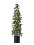 Albero Pino Con neve cm.213 Con Vaso