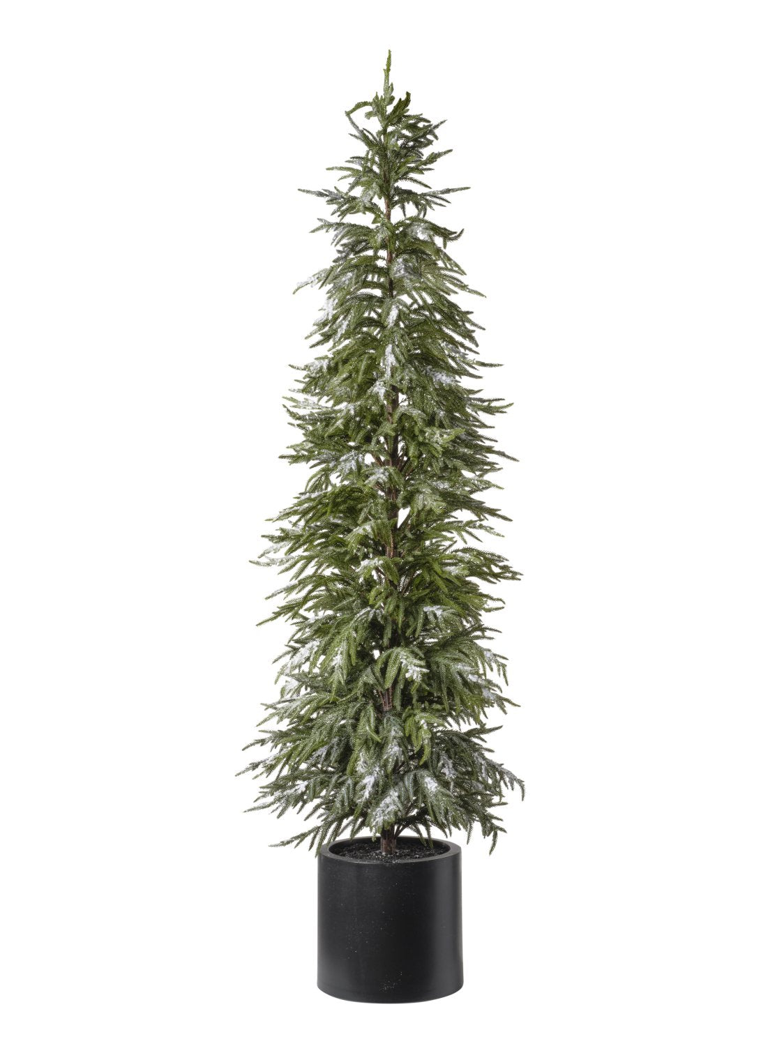 Albero Pino Con neve cm.213 Con Vaso