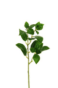 Rametto Basilico Real Touch cm.30 PZ.6