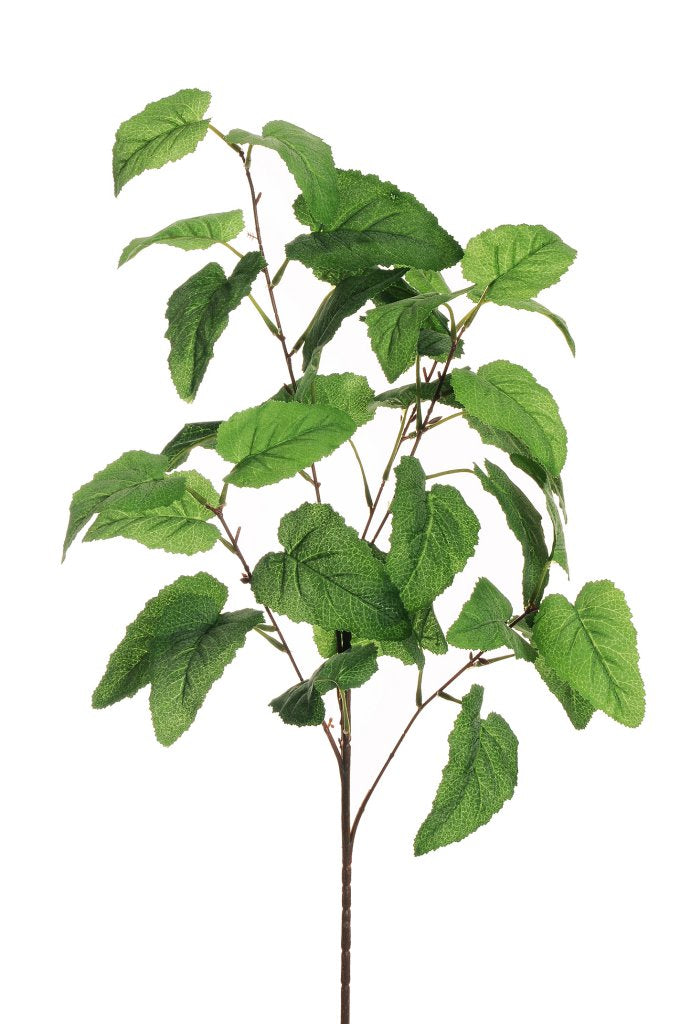 Ramo Salvia X5 cm.87 PZ.2