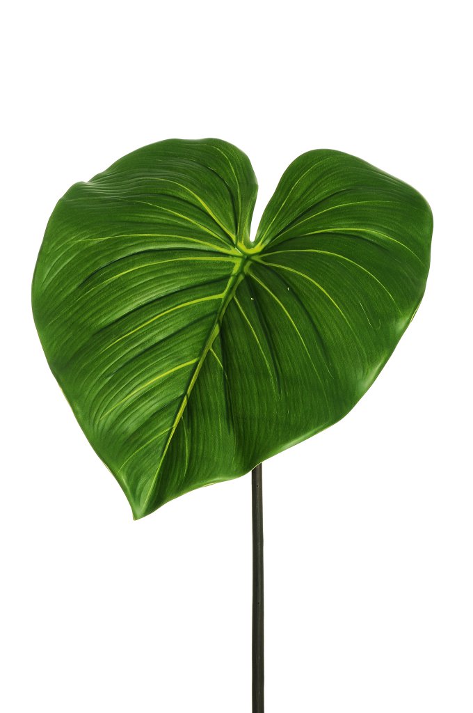Foglia Alocasia Real Touch cm.42x50 H.76