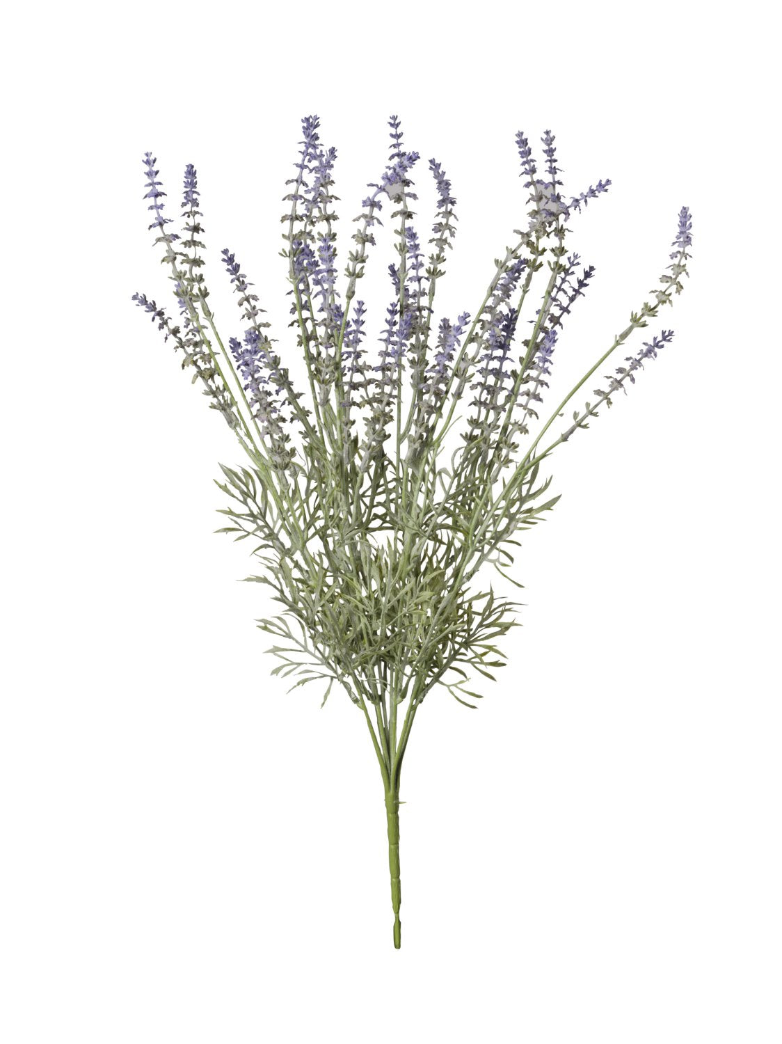 Mazzo Lavanda cm.54,5