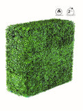 Siepe cm.75x25 H.75