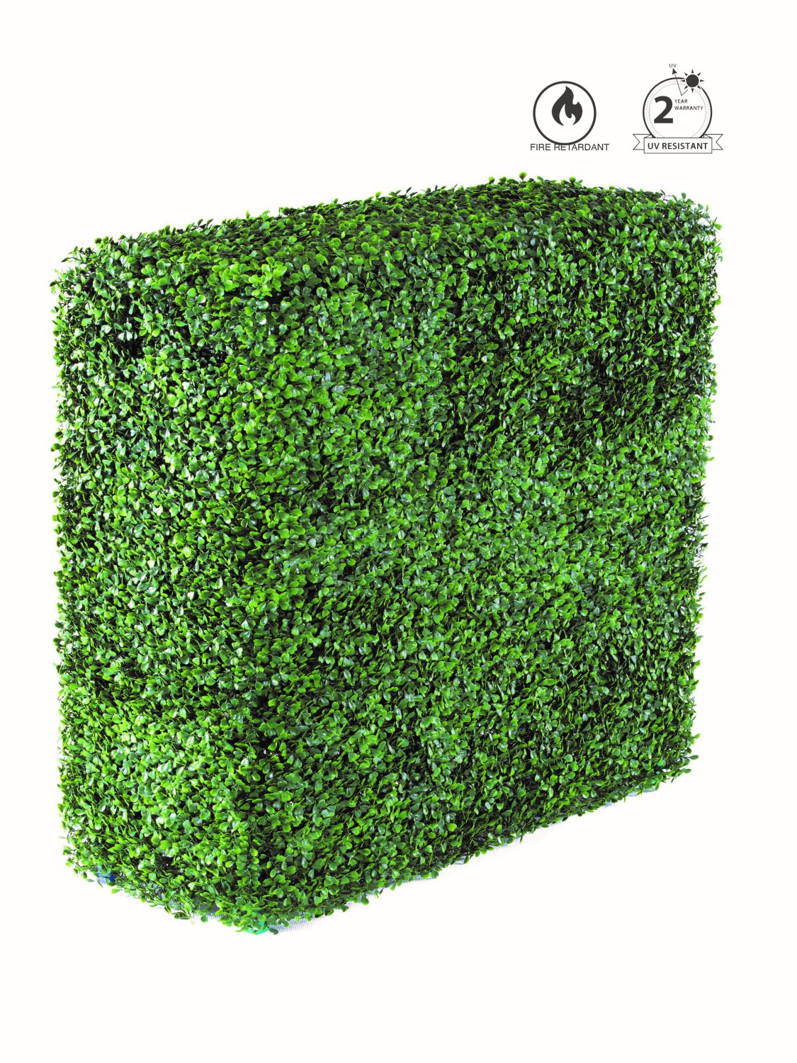 Siepe cm.75x25 H.75