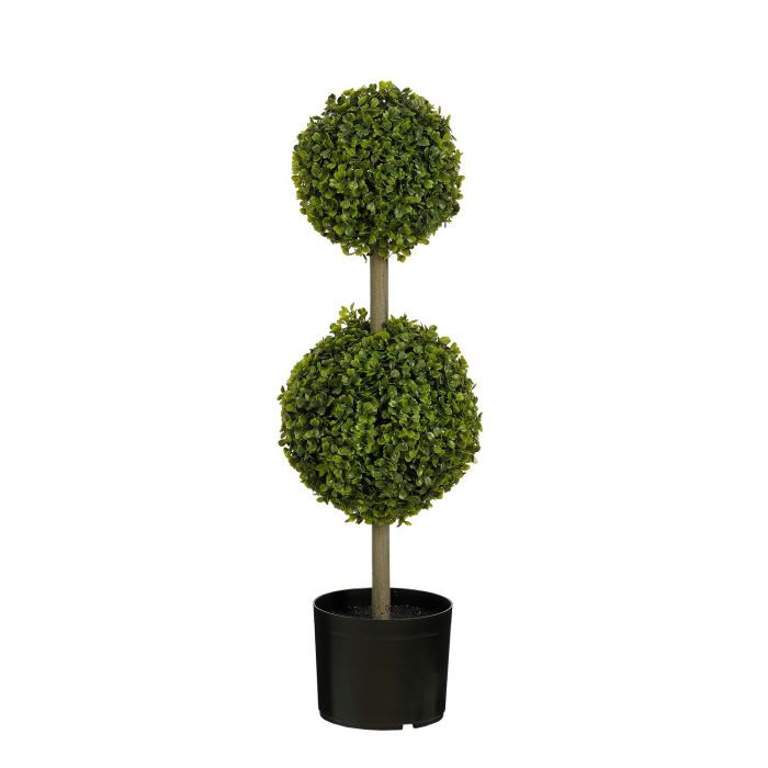 Albero Boxwood H.72/120 cm