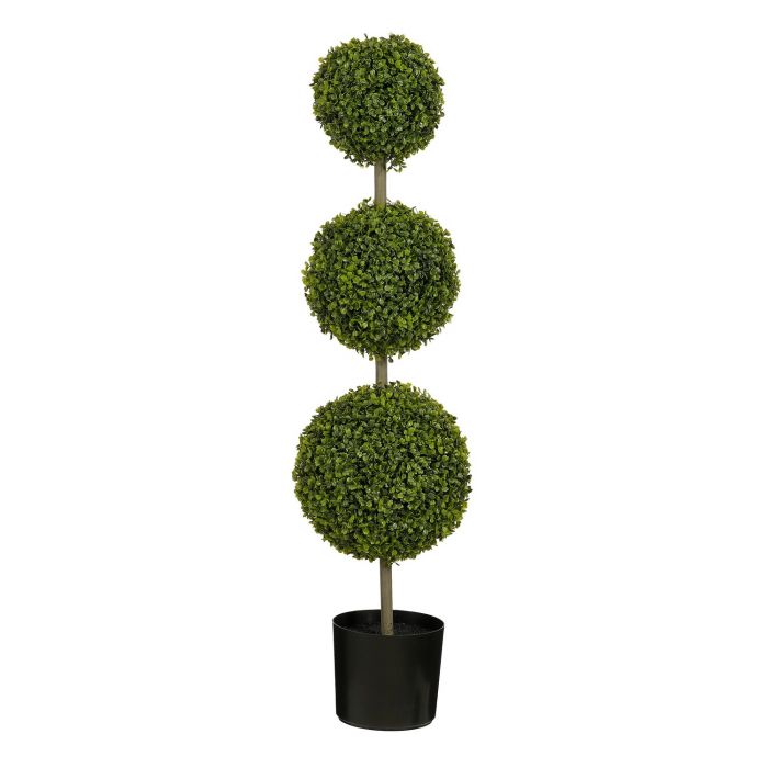 Albero Boxwood H.72/120 cm