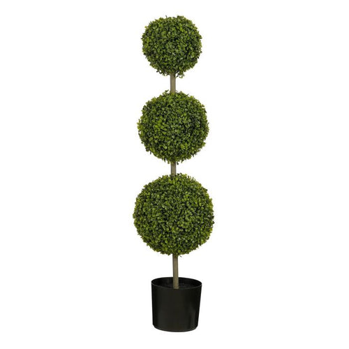 Albero Boxwood H.72/120 cm