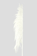 Feather Pampas Stabilizzata PZ.5