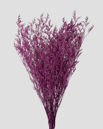 Limonium Stabilizzato | Vari Colori