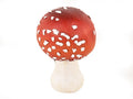 Fungo cm.9,2x9,4x13,5 Bianco/Rosso