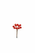 Pick Bacche Mini X10 cm.72 PZ.12