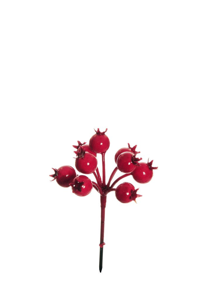 Pick Melograno X9 cm.12,5 PZ.12
