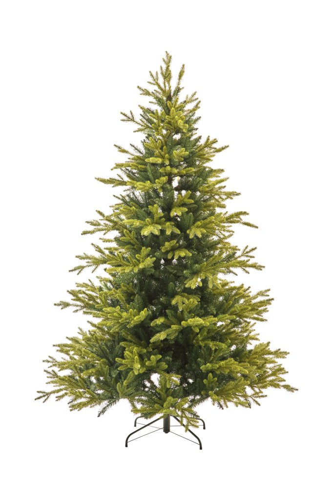 Albero Scotch Pine cm.210 TIPS 1372