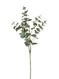 Mazzo Eucalipto 27x84cm. PZ.4