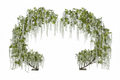 Arco Glicine MT.3 S/2