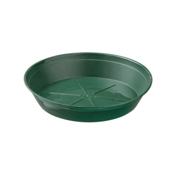 Sottovaso D.8 PZ.100