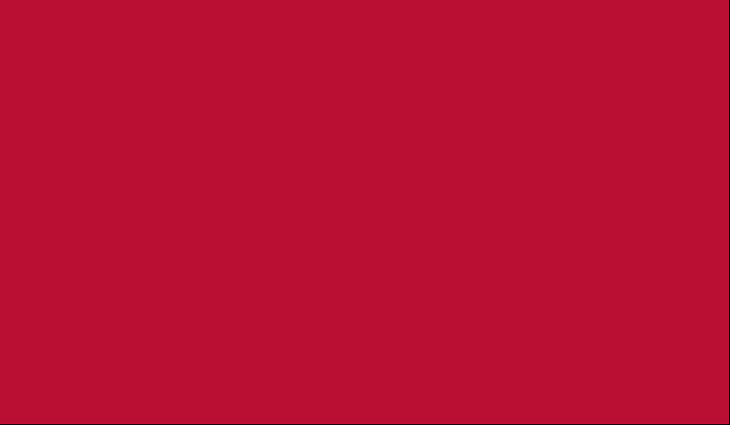 Bobina Satinato 1x25 MT. | Vari Colori