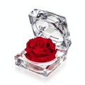 Jewel Box Con Rosa Small Stabilizzata