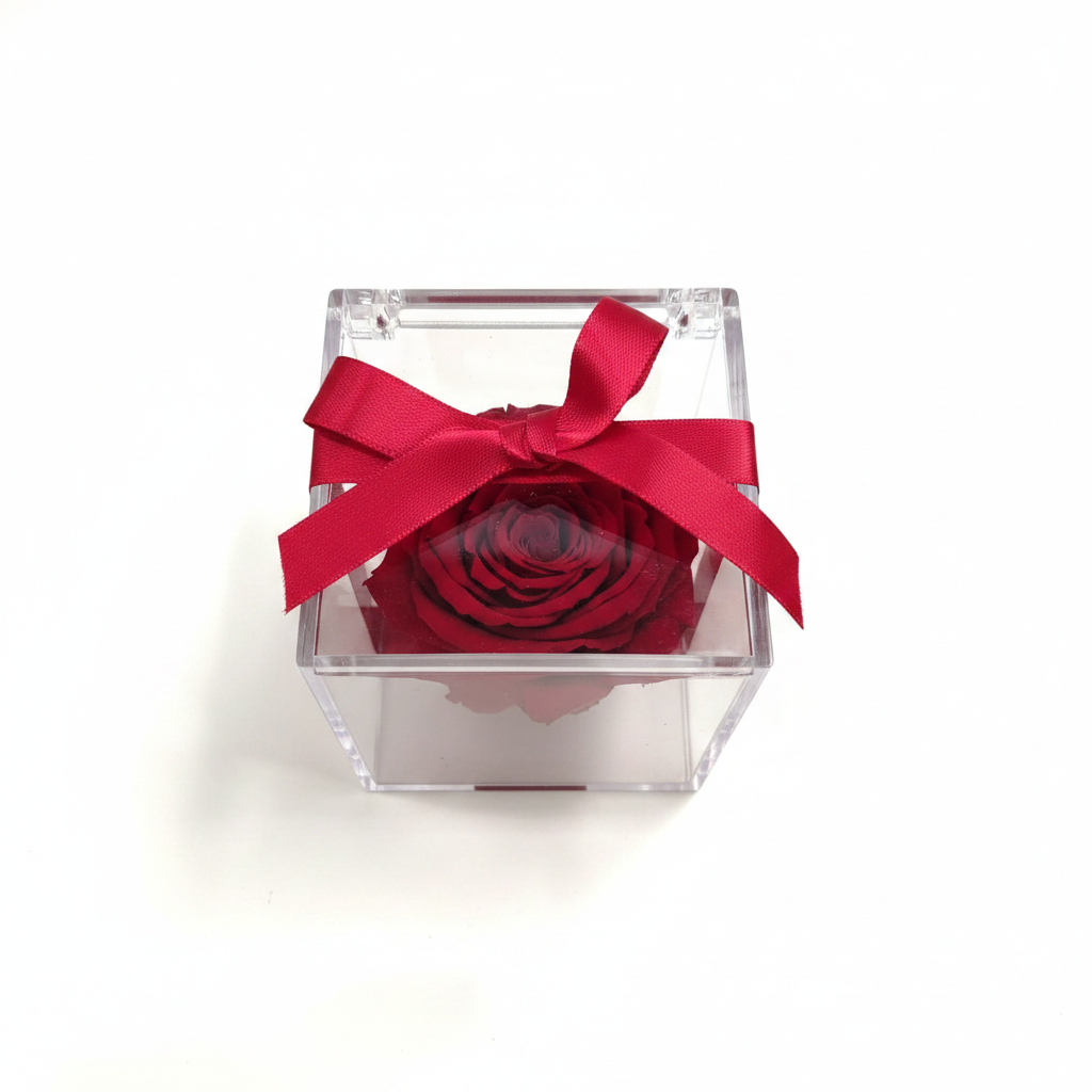 Jewel box rosa rossa - vista dall'alto