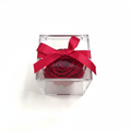 Jewel box rosa rossa - vista dall'alto