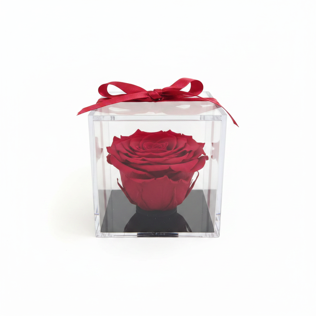 Jewel box rosa rossa - vista frontale