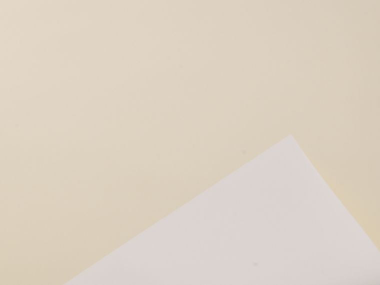 Bobina Satinato 1x25 MT. | Vari Colori
